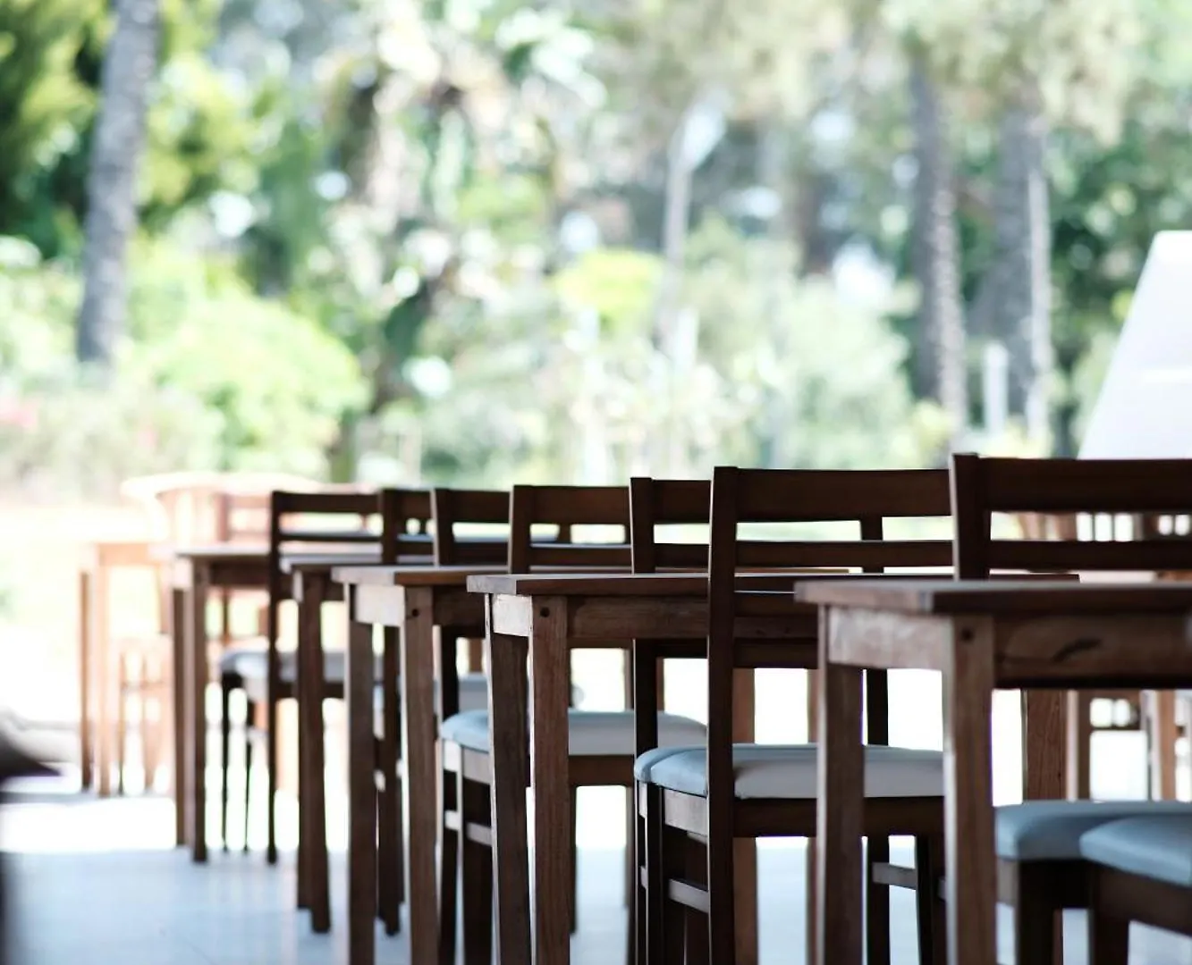 Arin Resort Bodrum Turgutreis Hotel
